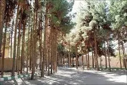 کج‌سلیقگی شهرداری در مدیریت پارک‌های جنگلی شهری
