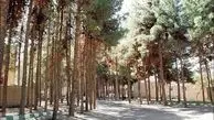 کج‌سلیقگی شهرداری در مدیریت پارک‌های جنگلی شهری

