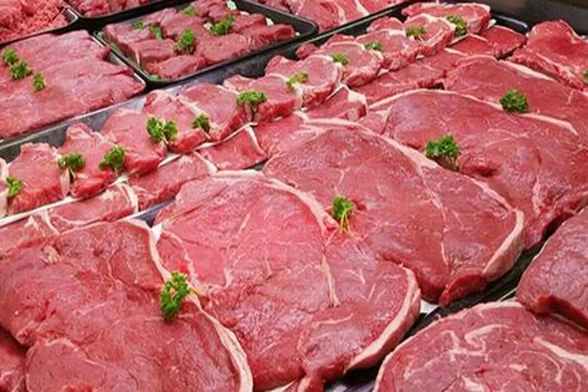 قیمت گوشت شتر نجومی شد / مراقب باشید به جای گوشت شتر به شما گوشت گوساله نیندازند

