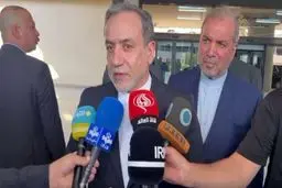 2025 to be important year for Iran's nuclear issue: FM
