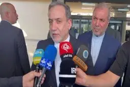 2025 to be important year for Iran's nuclear issue: FM
