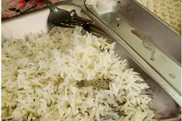 صف۲۰۰ متری غذاها پس از پیدا شدن مارمولک