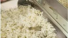 صف۲۰۰ متری غذاها پس از پیدا شدن مارمولک