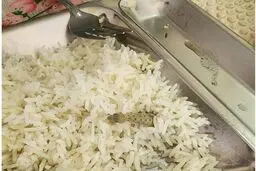 صف۲۰۰ متری غذاها پس از پیدا شدن مارمولک