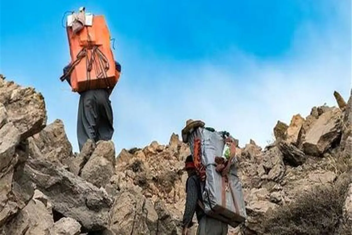 كولبری یا برادركشی