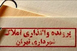 ‌یک کارتن مستنداتی که فرمانداری ندید