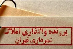 ‌یک کارتن مستنداتی که فرمانداری ندید