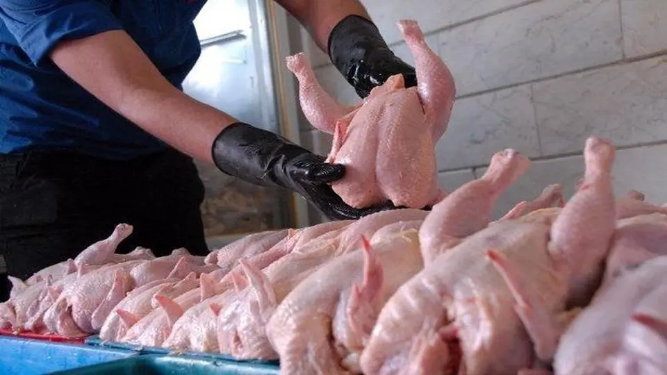 قیمت مرغ گرم کامل در بازار، ۳۵ تا ۳۸ هزار تومان