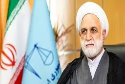 محسنی‌اژه ‌ای: از عملکرد و لغزش یک قاضی دلم به درد آمد