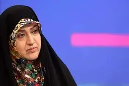 مجلس هیچ مصوبه‌ای درباره حیوانات خانگی ندارد