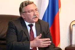 موضوع پروتکل الحاقی باید طی مذاکرات وین بررسی شود