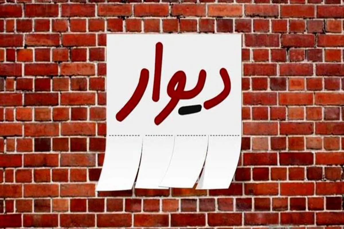 استارت‌آپ‌ها تنها هستند