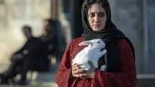 اکران «تی‌تی» به تعویق افتاد