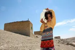 تراژدی منابع مشترک