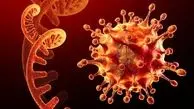 نوع دیگری از ویروس اومیکرون کشف شد