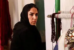 موافقت با صدور پروانه نمایش «بَلیط» و «52 هرتز»