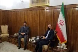 اعلام آمادگی برخی کشورها برای سرمایه گذاری در مناطق آزاد تجاری