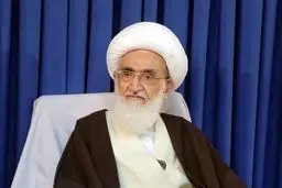 آیت‌الله نوری همدانی: با تعطیلی فضای مجازی موافق نیستم