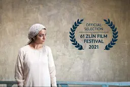 نمایش «مادرزاد» در جشنواره مدرسه فیلم مونیخ