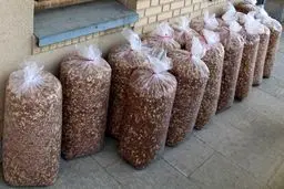 کشف ۵۷ کیلو تریاک در ۴۰۰ کیلو آجیل در فرودگاه امام(ره)