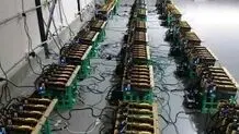 استخراج ۳ بیت کوین از خرداد 99 در بورس تهران