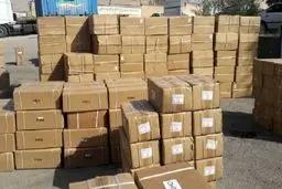 کشف 245 تن موز قاچاق توسط پلیس گمرک