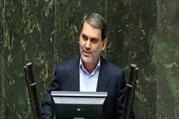 حذف ارز ترجیحی نیازی به مصوبه مجلس ندارد