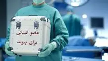 فوت روزانه ۱۰ نفر بر اثر نرسیدن عضو پیوندی