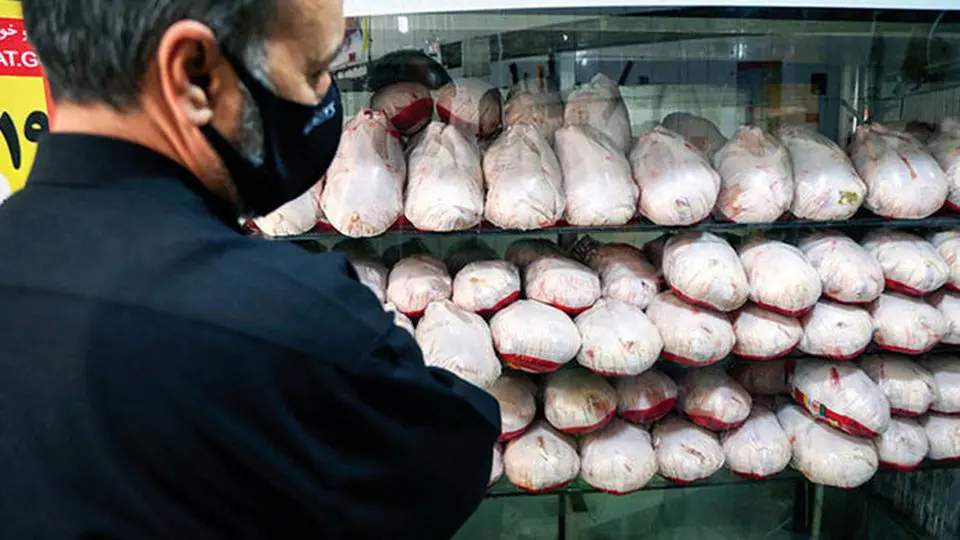 رفع نوسانات قیمت مرغ در تهران تا ۱۰ روز آینده