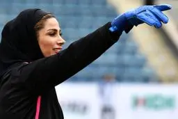 دهقانی، شماره یک سنگ‌آهک ترکیه