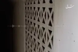 چرا فروغ فراموش نمی‌شود؟