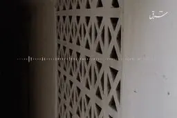چرا فروغ فراموش نمی‌شود؟