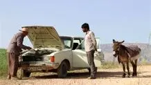 حضور «دِرب» در چهلمین جشنواره فیلم فجر