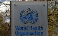 هشدار سازمان جهانی بهداشت: نباید امیکرون را ملایم توصیف کرد
