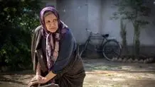 «شادروان» یک فیلم کمدی نیست