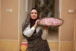 رونمایی از پوستر رسمی «دختر ایران»