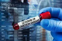 افزایش ۴۵ تا ۵۰ درصدی ابتلا به اُمیکرون در تهران