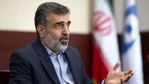 کمالوندی: ایران پاسخ آژانس را داده است!