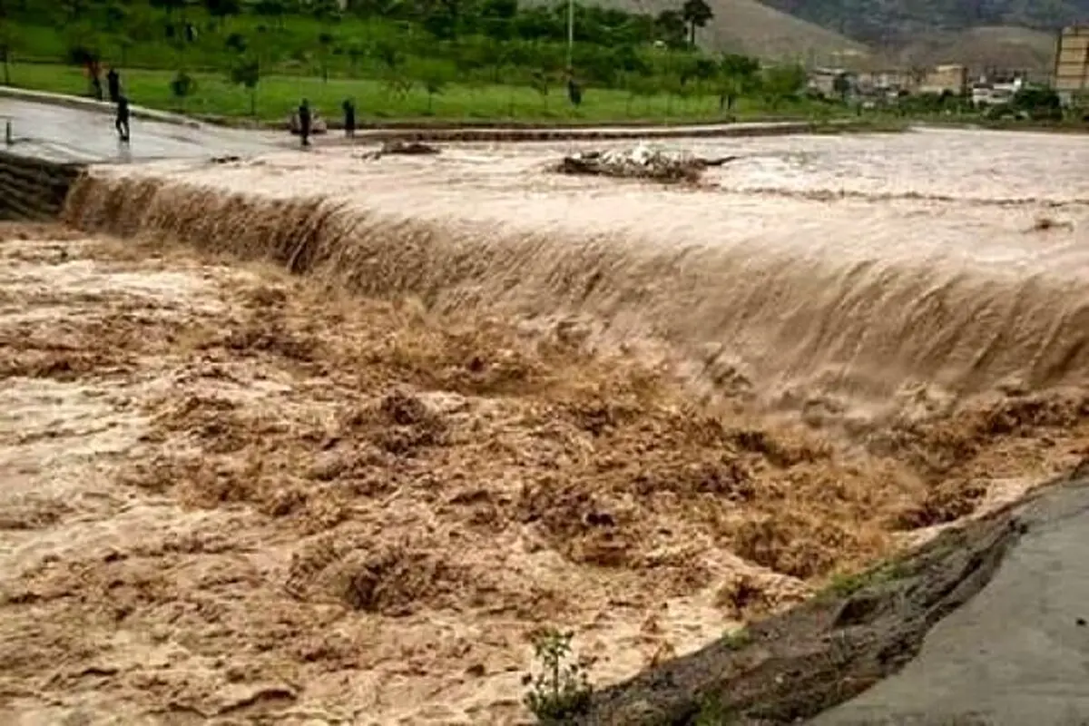 مرگ غم انگیز 2 برادر خردسال در رودخانه ریگان