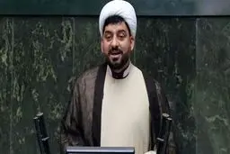 طرح صیانت باید به صحن مجلس بازگردد