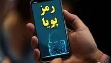 کاهش 20 درصدی جرایم اینترنتی با رمز پویا
