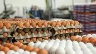 افزایش ۵۰ تا ۷۰ درصدی قیمت مرغ و تخم مرغ در سال آینده
