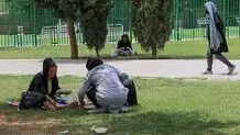 ٨٠٠ معتاد متجاهر زن در تهران
