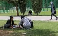 ٨٠٠ معتاد متجاهر زن در تهران