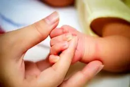 ۱۲ تا ۱۵ درصد از زوج های ایرانی مشکل ناباروری دارند