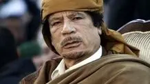 "قذافی زنده است"