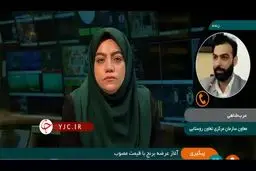 آغاز عرضه برنج اینترنتی در کشور