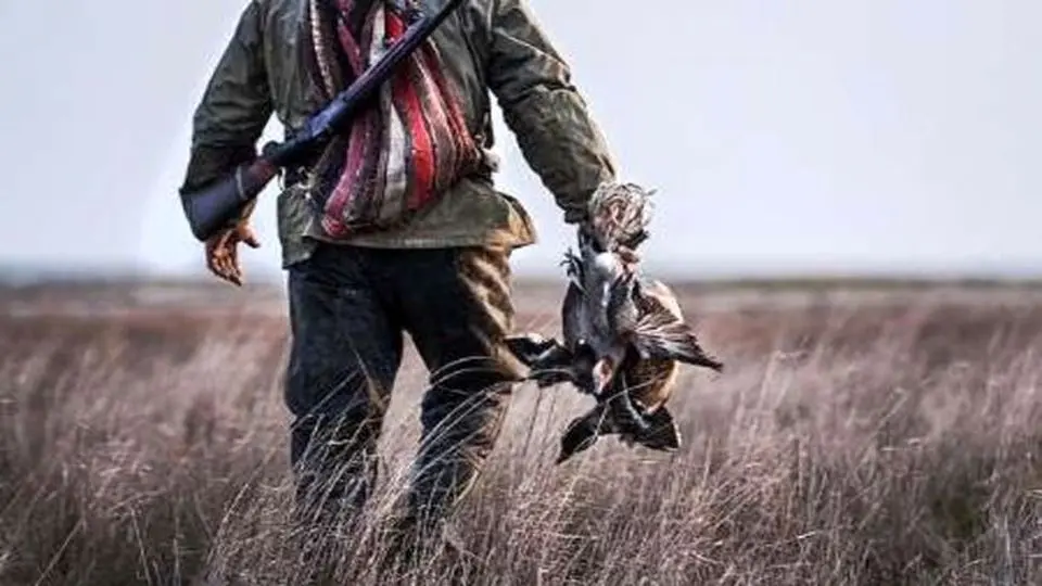 درگیری ۱۰۰ شکارچی نقاب دار با محیط بانان در میانکاله