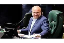 قانون‌گذاری برای نامزدی آقای رئیس