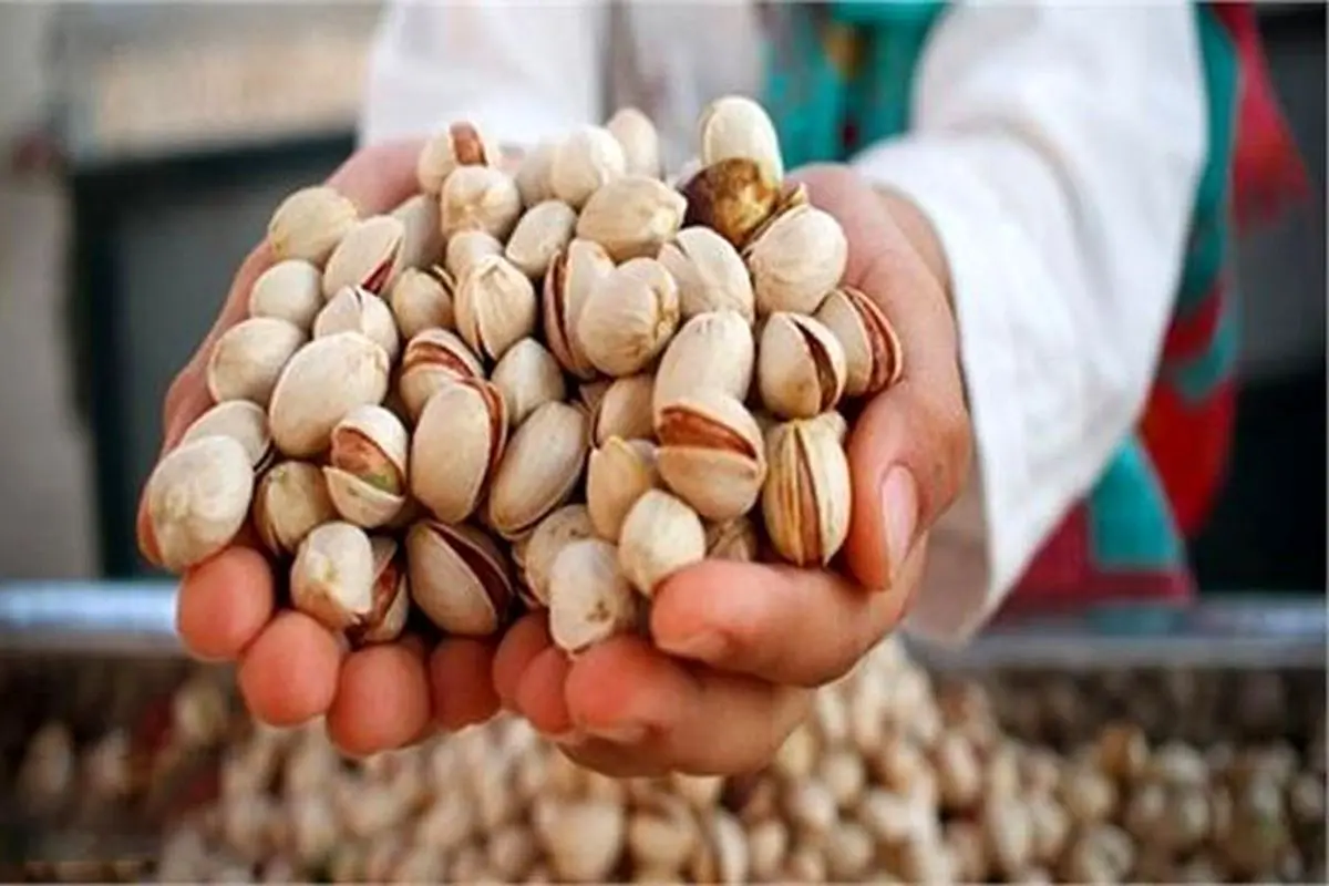 صادرات پسته ایران به اروپا ۲۹ درصد کاهش یافت

